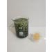 2PCS Natural Lip Balm - Pink Fresh Dark Lip Lightening Treatment for Healthy Lips - Buy Online on SooperMarket.com