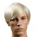 SHIYID Heat Resistant Synthetic Short Wig For Men Straight Hairstyles Fiber