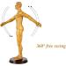 Human Acupuncture Template 50 cm Human Meridian Chinese Medicine Acupuncture Point Medicine Acupuncture Point Model Hand Rotate Anatomy Model - Buy Online on SooperMarket.com