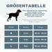 Teamwalk Premium Dog Collar - Adjustable Magnetic Handle Light Strip Air Tag Bag Soft Upholstery & Robust Buckle - Rust Red (Small 4cm) - Buy Online on SooperMarket.com