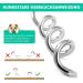 Dog Endanger Posts with Spring - Durable Ground Anchors for Large Dogs Training & Camping 1 Pack - Buy Online on SooperMarket.com