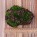 12Pcs Artificial Rock Moss Balls - Garden Decor & Floral Arrangements DIY - Buy Online on SooperMarket.com