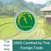 T&L Green Dragon Thai Jasmine Fragrant AAA Rice 10kg - | Delicate Jasmine Aroma | Long Aromatic Grains | Versatile for Various Cuisines | Ethically Sourced Farming | Nutrient-Rich | Gluten-Free - Buy Online on SooperMarket.com