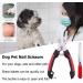 ZLXFT Nail Scissors for Dogs and Cats Rabbit Nail Scissors Stainless Steel Claw Clippers Claw Care Cutter for Pets Claw Care for Small Animals - Buy Online on SooperMarket.com