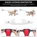 POPOT No Pull Dog Harness | Reflective Pet Vest for Daily Training & Walking | Control Handle | Red Medium - Buy Online on SooperMarket.com