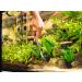 VORESTIC 25cm Curved Aquarium Scissors - Aquascaping Tools for Terrarium Plants - Buy Online on SooperMarket.com