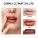 Plumping Lip Balm: Hydrating Tinted Lip Polish for Dry, Cracked Lips - Deep Nourishing Moisturizing Lip Gloss (Brown Vermeil) - Buy Online on SooperMarket.com