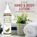 NutriBiotic Hand & Body Lotion - Citrus 8 Fl Oz | Biodegradable Vegan pH Balanced No Dyes Parabens | Gentle Moisturizing with Grapefruit Seed Extract - Buy Online on SooperMarket.com