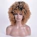 SHIYID Short Curly Wigs Blonde Afro Synthetic Wig for Women African American Dark Root Natural Hair Heat Resistant