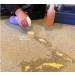 Homeowners Spot Dye Kit | Restore Carpet Color & Repair Discoloration from Bleach Acne Meds & Chemical Marks - Buy Online on SooperMarket.com