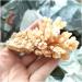 Rare Natural Raw Quartz Crystal Cluster Stones Crystal Point Specimen Home Decoration Raw Crystals Beautiful Gift (Size : 40-70g) - Buy Online on SooperMarket.com