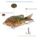 SENYUBBY Multi Jointed Swimbait Fishing Lure Big Giant Sinking Bass Lure with Treble Hook, 5.9in 1.94oz, 2/4/8/9 Segment Crankbaits Swimbaits - Buy Online on SooperMarket.com