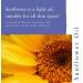 Absolute Aromas Organic Sunflower Oil 100ml - Cold-Pressed & Vegan - Glass Bottle - Cruelty Free - Pure & Natural - Buy Online on SooperMarket.com