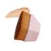 Foundation Brush, Daubigny Iron Type Makeup Brush for Face Blush Liquid Powder Foundation Brush for Blending Liquid, Cream or Flawless Powder Cosmetics with Protective Case (Pink) Iron Type Pink