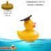 Funny Academic Bathing Duck with Diploma - Squeaky Duck with Doctoral Hat - Perfect Gift for University Exam Closing Ceremonies - Buy Online on SooperMarket.com