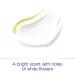 Dove Deep Moisture Hair and Skin Care Regimen Pack - 2 Hair, 2 Skin Products for Soft Skin and Clean Hair - Buy Online on SooperMarket.com