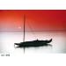 Cokin A665 Gradual Fluo Red 2 Filter - Enhance Your Photography with Vibrant Red Tones - Buy Online on SooperMarket.com