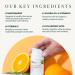 InstaNatural Vitamin C Moisturizer & Night Cream Duo - Brightening & Hydrating Skincare - Buy Online on SooperMarket.com