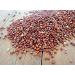 Organic Red Quinoa Grain 1kg by Hatton Hill Organic - Certified Organic - Buy Online on SooperMarket.com