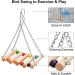 8 Pack Natural Wood Bell Bird Swing Toy for Parrots and Small Birds - Buy Online on SooperMarket.com