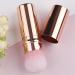 Teksome Portable Makeup Brush Travel Telescopic Cosmetics Brushes - Beginner Friendly Powder Brush for Foundation Sunscreen Bronzing Powder Gold - Buy Online on SooperMarket.com