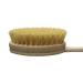 Yerba Prima Tampico Skin Brush - Exfoliate for Radiant Skin & Improved Circulation - Buy Online on SooperMarket.com