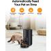 WOPET Automatic Cat Feeder  FT70 Plus Pet Dry Food Dispenser with Desiccant Bag for Cats and Dogs  Timed Cat Feeder Programmable 6 Meals Per Day  10s Voice Recorder Black - Buy Online on SooperMarket.com