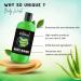 Aloe Vera Body Wash | Moisturizing Shower Gel for Women | 400ml Skin Cleanser | Nourishing Body Wash - Buy Online on SooperMarket.com