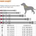 Taglory Soft Padded Neoprene Dog Collar for Medium Dogs - Adjustable Reflective Sky Blue - Perfect for Training - 1-Pack - Buy Online on SooperMarket.com
