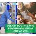 Purefypro Disinfectant Spray - 99.9999% Virus Elimination - Hospital Grade, Unscented, No Residue - 16 Fl Oz (Pack of 2) - Buy Online on SooperMarket.com