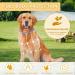 Repellent Collars for Dogs Repellent Collar for Dogs Adjustable Water Resistant repellent Collar Dog Natural Dog repellent Collars for Puppies Small Medium Large Dogs Blue 2pack - Buy Online on SooperMarket.com