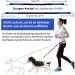 Premium Adjustable Dog Leash - Dual Grip Reflective Walking & Jogging Line with Feces Bag Dispenser for Large Dogs - Shock-Damping Design in Black/Blue - Buy Online on SooperMarket.com