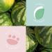 Sunday Rain Watermelon Exfoliating Cubes - 5.2 oz | Renew & Revitalize Skin - Buy Online on SooperMarket.com