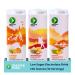 Greater Than Vegan Breastfeeding Support & Breast Milk Supply Aid, Organic Postpartum Nursing Supplement with No Sugar Added, Gluten Free & Keto All Natural, Coconut Water Electrolyte Drink, Variety Pack Best Sellers Variety Pack