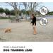 Loutep 5m Dog Training Leash - Durable Nylon Long Leash with Padded Handle & Heavy Duty Swivel Hook - Orange - Buy Online on SooperMarket.com