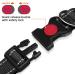 Taglory Soft Padded Neoprene Dog Collar for Large Dogs | Adjustable & Reflective | Black L - Perfect for Training | International Shipping Available - Buy Online on SooperMarket.com