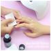 Lofuanna Poly Gel Slip Solution 80ML - Professional Kit for Extender Gel Builder Gel UV/LED Nail Tips - with Nail Brush and Acrylic Glass - 2PCS - Buy Online on SooperMarket.com