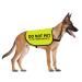Do Not Pet No Hand Sniffs Dog Jacket Vest Nervous Anxious Dog Slogan Warning Vest (NO HAND SNIFFS Medium) NO HAND SNIFFS M EU