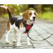Buy POPOT No Pull Dog Harness - Reflective Front Vest for Daily Training Walking & Running | Red XL - Buy Online on SooperMarket.com