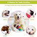 Interactive Treat Dispenser Dog Toy Dog Treat Dispensing Puppy Toys Rolling Dog Treat Dispenser Slow Feeder Reduce Boredom Improve IQ for Small Medium Large Dogs (Green) - Buy Online on SooperMarket.com
