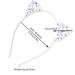 AWAYTR Crystal Cat Ears Hair Hoop Headband - Floral Hair Accessories for Women and Girls | Perfect Christmas Gift - Buy Online on SooperMarket.com