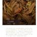Pu-erh tea 2016 Shunhai Ba Wai Cake Tea 357g Raw - Buy Online on SooperMarket.com