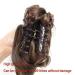 Short Wavy Ponytail Extensions - 40cm Synthetic Claw Ponytail in Brown Black | 16 Inches Ladies Wig - 90g - Buy Online on SooperMarket.com