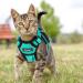 Breakproof Cat Leash Set & Adjustable Soft Kitten Vest with Reflective Stripes - Green Small Cat Dishes for Kittens - Buy Online on SooperMarket.com