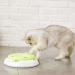 Pettom Interactive Cat Toy | Electric Butterfly Funny Exercise Toy for Kittens | Rotating Pop N Play Toy with Replacement Feathers | Green - Buy Online on SooperMarket.com