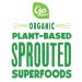 Go Raw Seeds with Sea Salt - 12 oz. Bags Box of Keto Vegan Gluten Free Organic Superfood Pumpkin Seeds - Single-Serve Snack Packs - Buy Online on SooperMarket.com