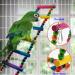 12Pcs Parrot Toys for Small Birds - Hammock Swing, Bell, Chewing Toys - Ideal for Budgies, Cockatiels, Parrots - Finches Accessories - Buy Online on SooperMarket.com