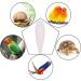 Angelikashalala Parrots Chew Toys - 6 Natural Cuttlefish Bones 10-12cm for Parrots, Birds, Reptiles, Tortoises, and Snails - Buy Online on SooperMarket.com