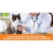 ThunderEase Cat Calming Pheromone Diffuser Kit | Powered by FELIWAY | Reduce Scratching, Urine Spraying, Marking, and Anxiety - 30 Day Supply - Buy Online on SooperMarket.com