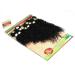 Buy 8-14 Inch Eunice Brazilian Kinky Curly Hair Bundles - Premium Black Jerry Curly Human Hair (8 10 12 Inch) for International Shipping - Buy Online on SooperMarket.com